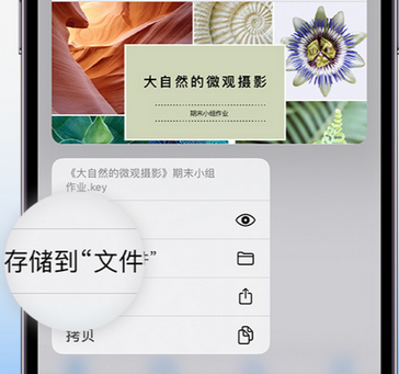 麻江apple维修中心分享iPhone文件应用中存储和找到下载文件