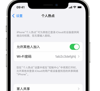 麻江apple服务站点分享iPhone上个人热点丢失了怎么办 