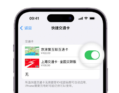 麻江apple维修点分享iPhone上更换Apple Pay快捷交通卡手绘卡面 