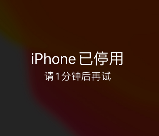 麻江苹果手机维修分享:iPhone 显示“不可用”或“已停用”怎么办？还能保留数据吗？ 