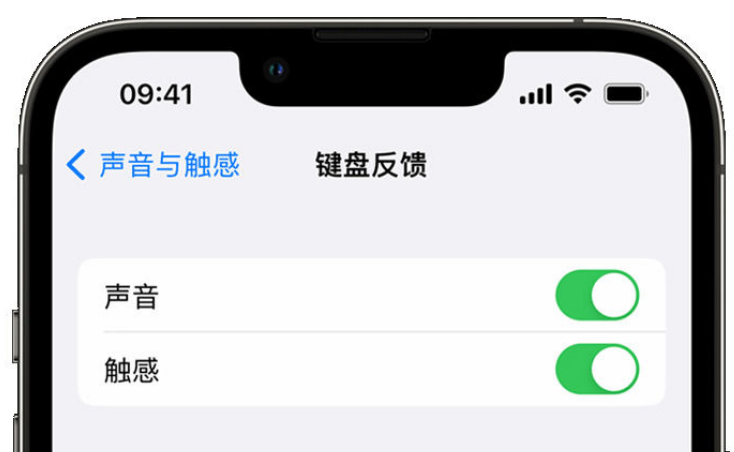 麻江苹果手机维修分享iPhone 14触感键盘使用方法 