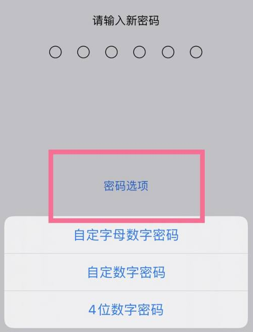 麻江苹果14维修分享iPhone 14plus设置密码的方法 