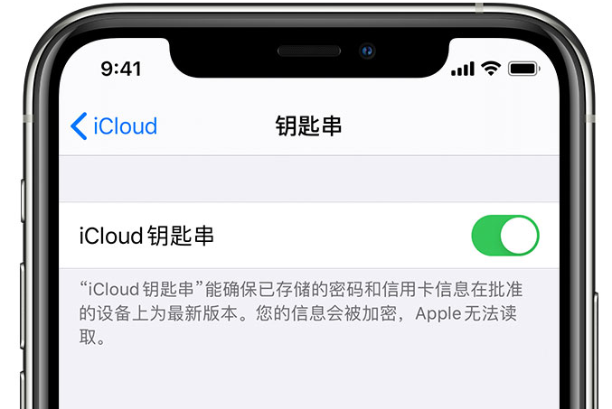 麻江苹果手机维修分享在 iPhone 上开启 iCloud 钥匙串之后会储存哪些信息 