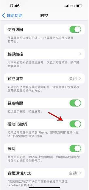 麻江苹果手机维修分享iPhone手机如何设置摇一摇删除文字 